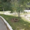 IMG_20180804_153832
